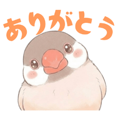 文鳥【シナモン】