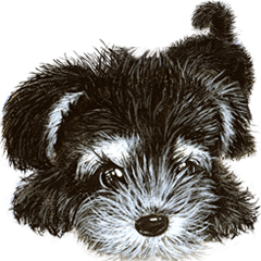 わん☆だふる・わーるど