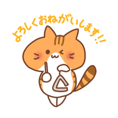 ふじねこ＊打楽器