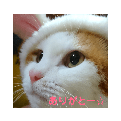 にゃんにゃんstamp