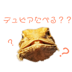 うちのペットたち1