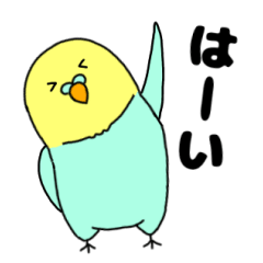 毎日使える インコのぴーちゃん