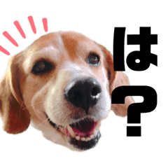 デブ犬ウィルのやる気のないスタンプ②