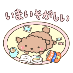 色んなプードル