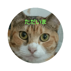 なな八種類スタンプ