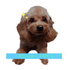 だいすきだよ！