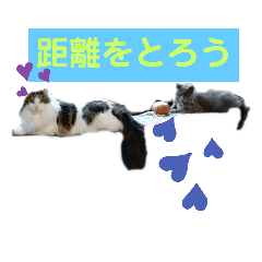 ロワくんとノルくんの仲良しタイムズ