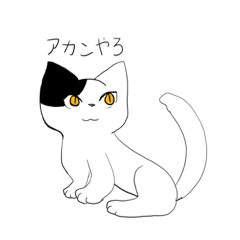 京都&大阪弁ニャンコ