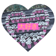 好きな人に使うスタンプ(さりげなくも)