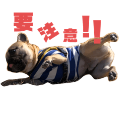 だいちゃんんん２