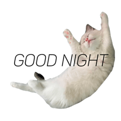 カンテの生き様