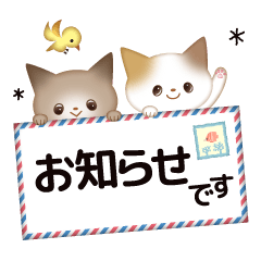 おしゃれぬこ。