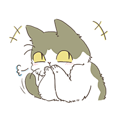 はちわれ猫の日常。