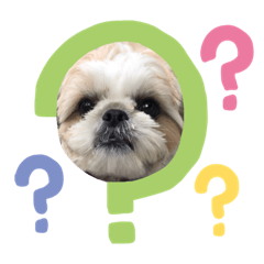 日々まるちゃん5