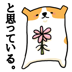 「と思っている」を伝える犬