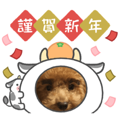 お正月ワンコスタンプ