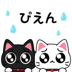 かわいい黒ねこちゃん