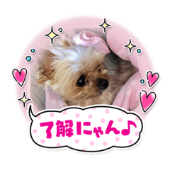 ヨーキーのメルちゃんスタンプ