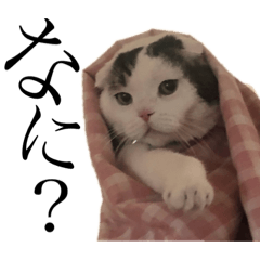 我が家のアイドルスタンプ！その２