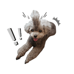 バビたんファミリー