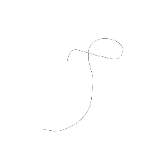 髪の毛バージョン　　ホコリ