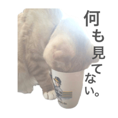 ルチオくんスタンプ