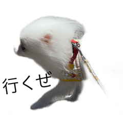 ココとナッツver2