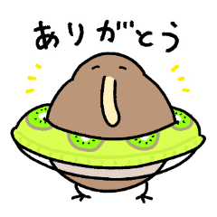 夏のゆるいキーウィ