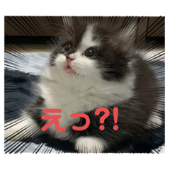 ふらん&チルシィ