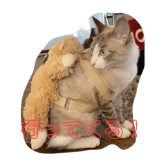 おちょこの日常