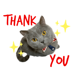 毎日使える！猫スタンプ