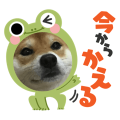 わんちゃん王国