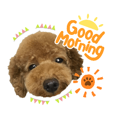 ルークスタンプ①