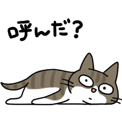 動くナノときなこ3