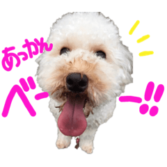 ミル　スタンプ