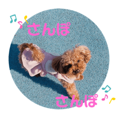 あづきぱーと13