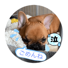 フォーンフレブル