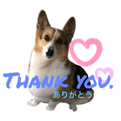 ケイタのご挨拶