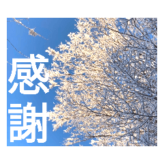 癒やされる景色の写真スタンプ