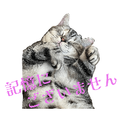 ハナサラ姉妹Ⅲ