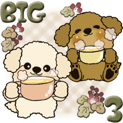 【Big】プードル 3『すっかり秋ですね』