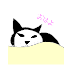 うちの猫MODOKI、宙。