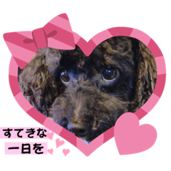 ごえもんワンコ　10