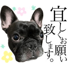 フレブルあるちゃん敬語編