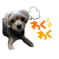 ココアスタンプvol1