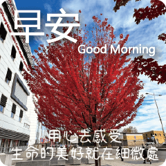 Good Morning the world (Cardiff) 6