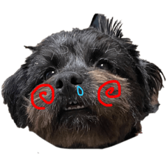 はなばぶぽまろん