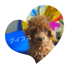 ピクの気持ち♡