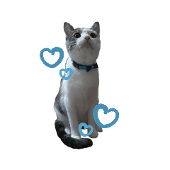 小太郎 スタンプ①