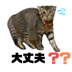 片目のそぼろ！